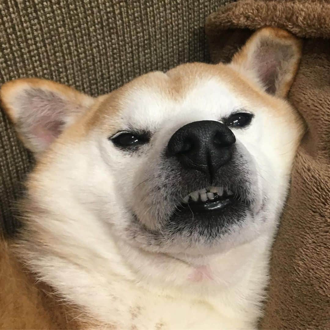 HALFBYのインスタグラム