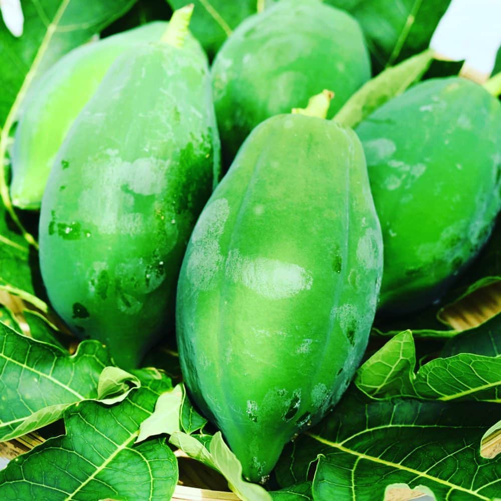 ロングレインのグルメインスタ