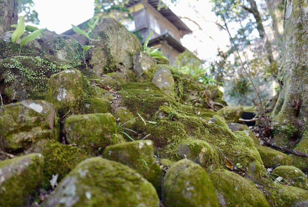 吉田拓巳さんのインスタグラム写真 - (吉田拓巳Instagram)「登録有形文化財の宿、静岡にある「おちあいろう」 部屋で川と風鈴の音を聞きながら入る温泉もいいし、 @totonoeoyakata プロデュースの茶室サウナも良かった。 緑に囲まれた、いい空間でした！」2月8日 13時19分 - tkmivj