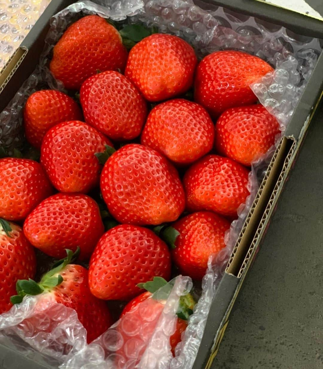 花田浩菜のインスタグラム：「🍓🍓🍓❤️❤️ . . コロナでおうち時間が長いので、、 大好きな苺をお家でたらふく食べようと #ポケットマルシェ でよく買ってます😊😊😊😊😊 #スカイベリー が感動的に大きくて美しかった🥺 ちょっと前までは切ってイチゴをあげていたのに、お兄ちゃんのをみているからか丸ごと食べたいみたいで切ったイチゴは食べなくなってしまった一歳児😅🍓🍓🍓（🔜スワイプ） 苺大好きな僕ちゃんもいるので苺がこの時期一瞬で無くなる我が家です。笑 . . #おうち時間 #おうち時間を楽しむ　#コロナフードアクション #いちご #おうちでいちご狩り #2歳差育児 #2歳差兄妹 #赤ちゃんのいる生活 #男の子ママ #女の子ママ #1歳2ヶ月 #l4l #happy #happydays」