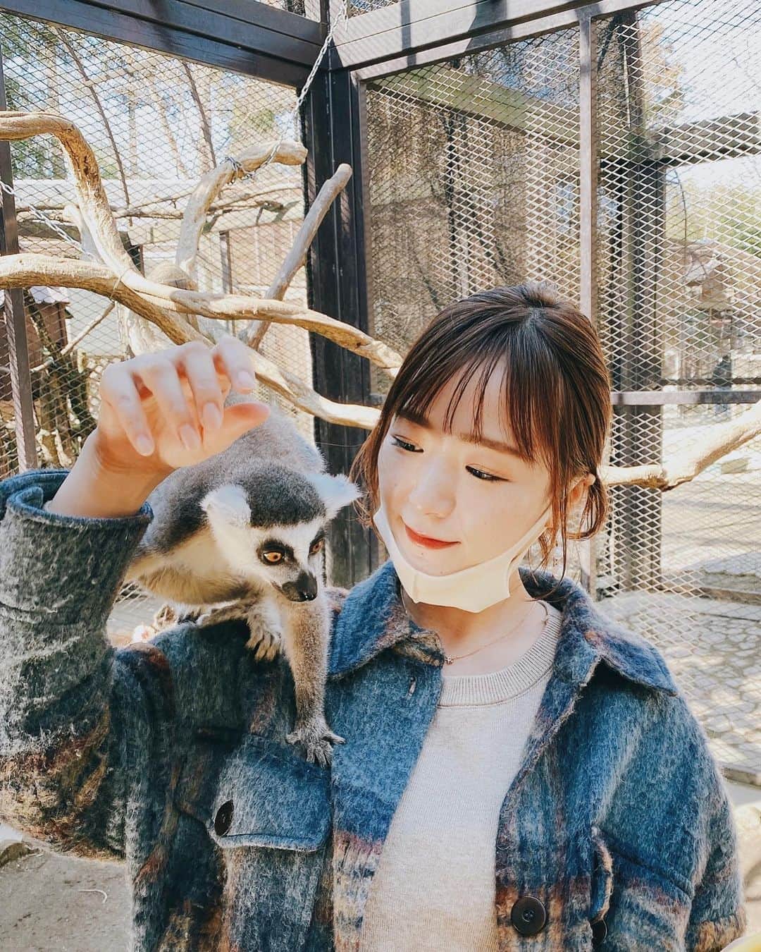 上妻未来さんのインスタグラム写真 - (上妻未来Instagram)「ぐうかわ♡ 手握ってくれるの🥺🥺🥺 もうメロメロ〜  #ソトアソビ #充実した休日  #動物園 #ふれあい動物園  #キツネザル  #一生餌あげたい #どさくさにまぎれて #どどどこさわってるのよ」2月8日 14時13分 - kozuma.m