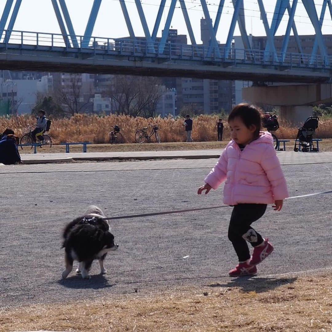 花蝶しほさんのインスタグラム写真 - (花蝶しほInstagram)「#週末 #振り返り #お天気も良く #ぽかぽかで #ピクニック」2月8日 14時37分 - s1h0i1h2o