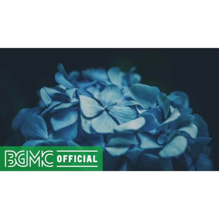 Cafe Music BGM channelのインスタグラム