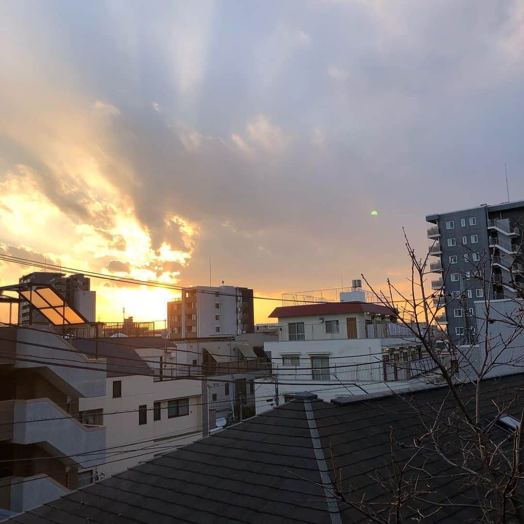 太田雄貴のインスタグラム：「昨日の一枚🌆」