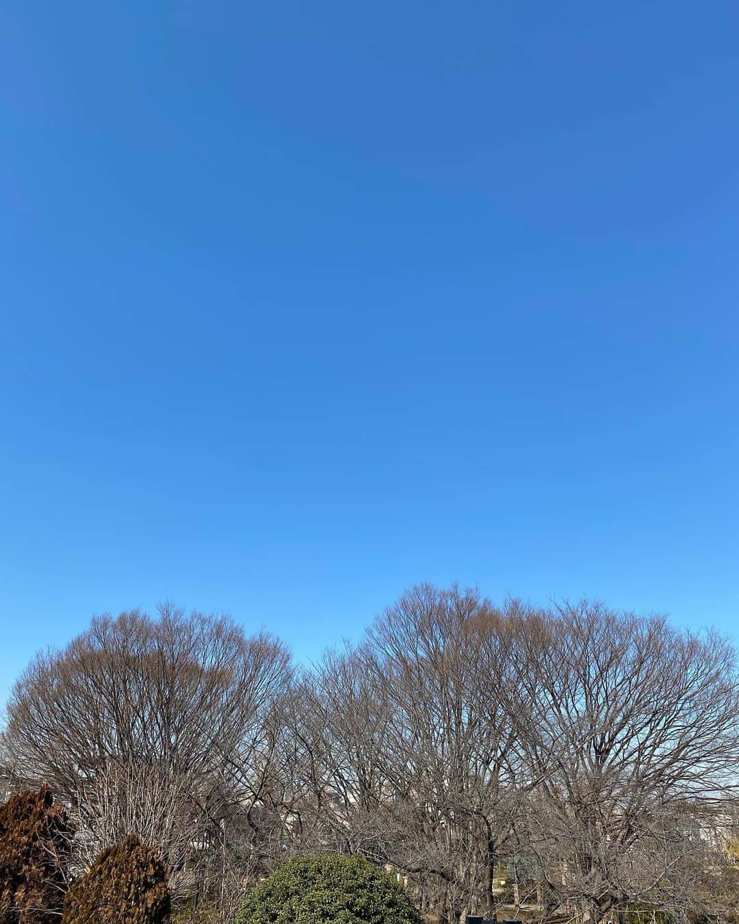 ヒカル（はやぶさ）さんのインスタグラム写真 - (ヒカル（はやぶさ）Instagram)「午後から青空が見えました^ ^ ついつい撮ってしまう青空^ ^ これからひと頑張りしてきます^ ^」2月8日 15時48分 - hayabusahikaru8823