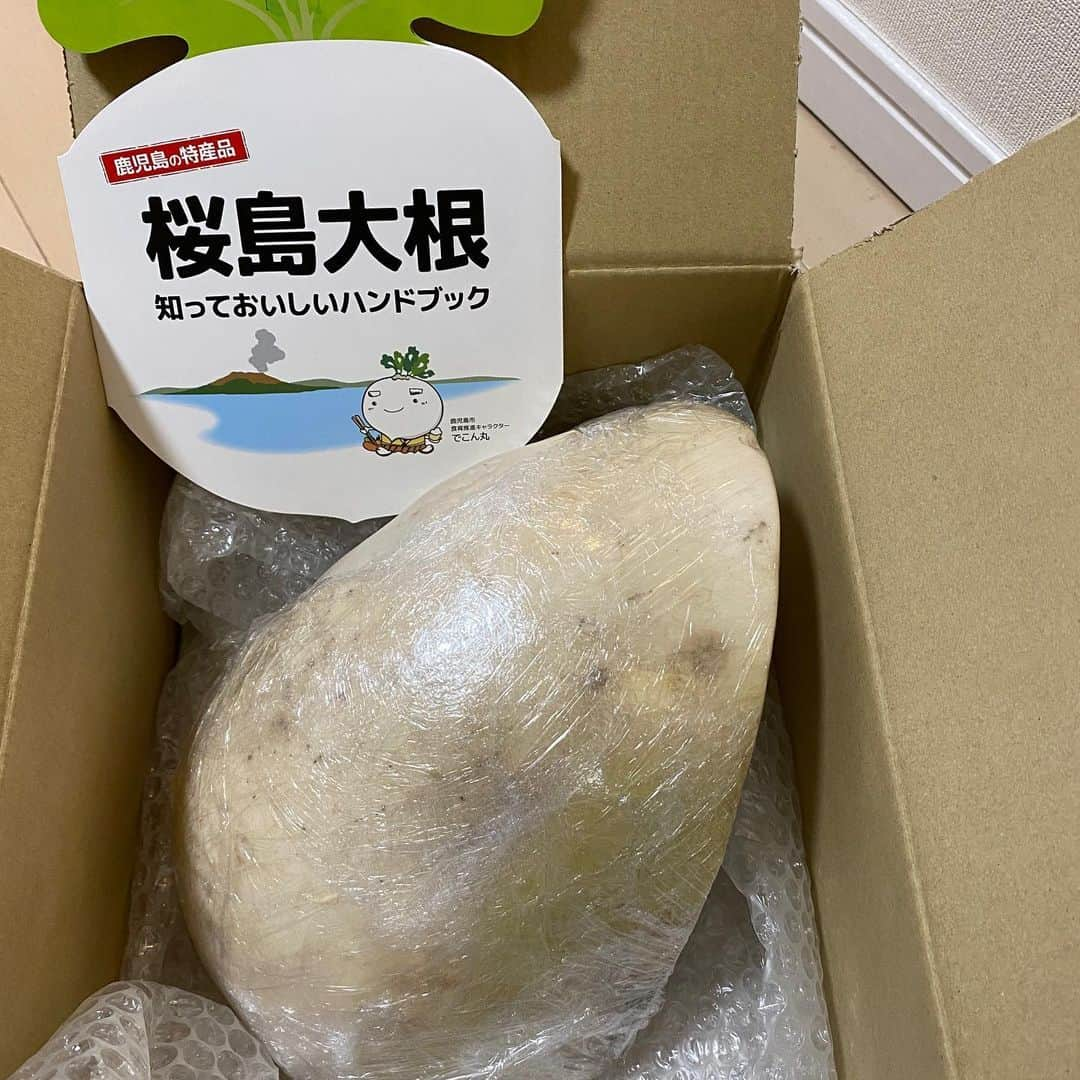 宮下純一さんのインスタグラム写真 - (宮下純一Instagram)「ふるさと鹿児島から素敵な特産品が届きました😄皆さん桜島大根って知ってますか？ギネスにも認定された世界一重い大根なんです🥰今日はそんな桜島大根で「ぶり桜島大根」作ってみました❣️甘味があり煮崩れしないのが特徴です❣️#桜島大根 #鹿児島特産品 #どんどん鹿児島 #世界一重い大根 #桜島だいこんフェア」2月8日 21時24分 - junichi1017