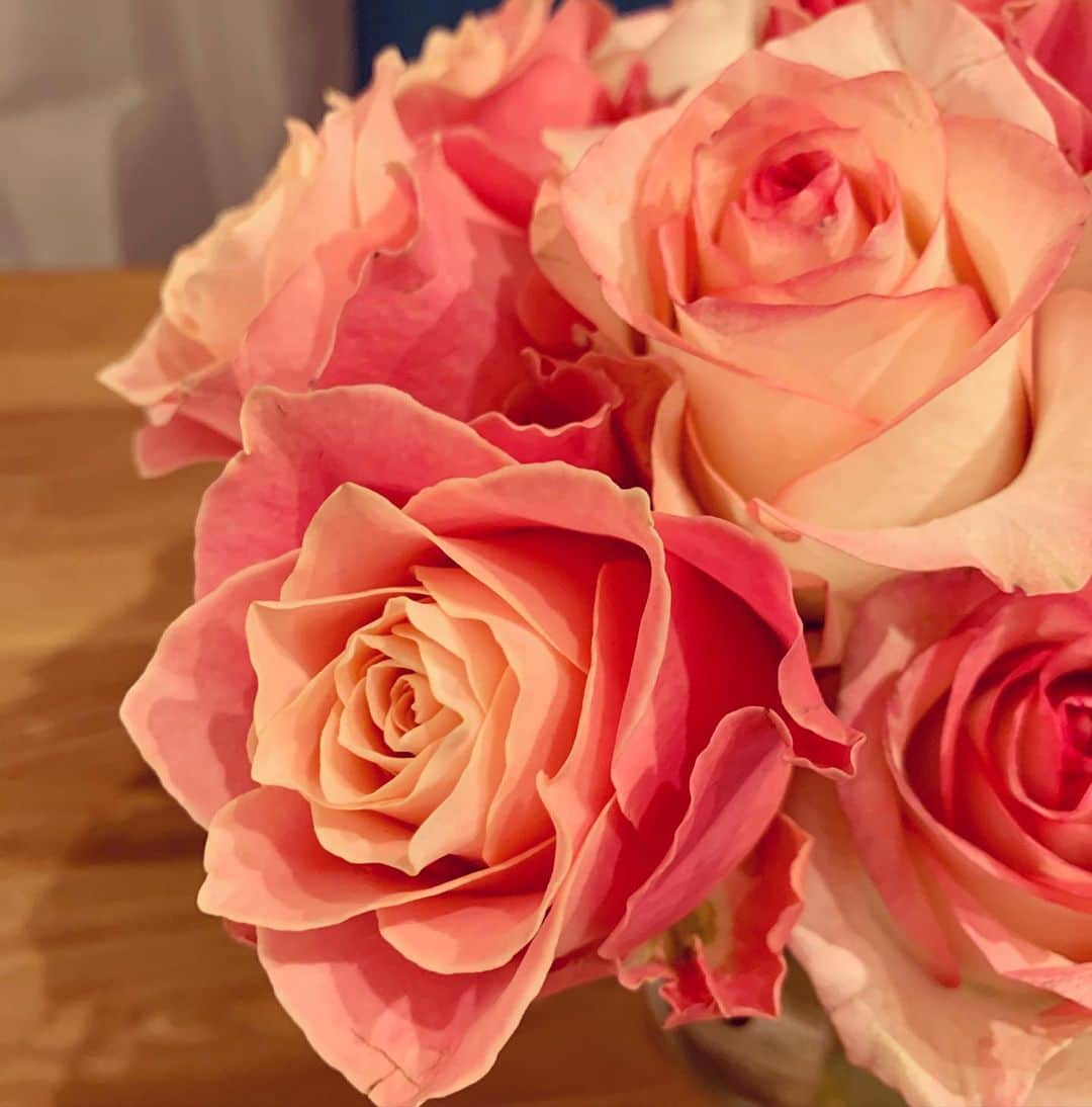 SHOCOのインスタグラム：「恵比寿の駅近の露店のお店の薔薇。この寒い中、日曜日でも24時くらいまで営業してるそう。日曜日の夜急にお花が必要になったらこちらへ。助かりました✨#華林　#flowers #flowerstagram  #撮影小道具」