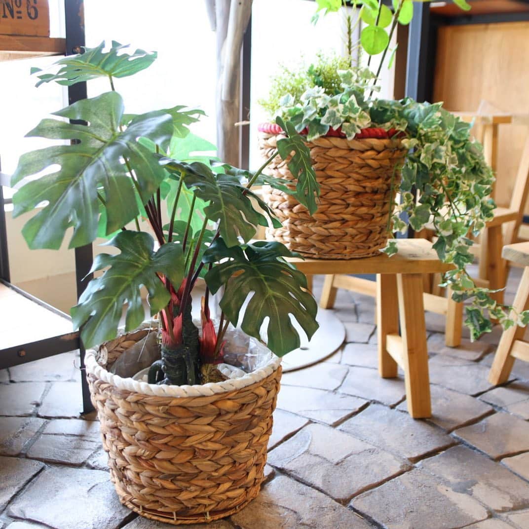 横浜ディスプレイミュージアムのインスタグラム：「. 💐🧺バスケット特集🧺💐  2階ドライ売場です♪ 本日もバスケットの新商品をご紹介致します！  アレンジやディスプレイはもちろん、 口の広いバスケットなのでグリーンポット等を入れて お部屋のインテリアとしてもお洒落に決まります🌿✨  ナチュラルなバスケットですが、 ホワイトやレッドの縁がアクセントに♪  縁のお色はホワイト・レッド・ネイビーの 3色展開でご用意しております。  PFOHX006 ¥1,600+tax  #横浜ディスプレイミュージアム #株式会社ポピー #横浜 #ディスプレイ#アーティフィシャルフラワー #フラワーアレンジメント #フラワーデザイン #インテリア雑貨 #インテリア#インテリアコーディネート#スタイリスト#装飾#デコレーション#花のある暮らし #花好きな人と繋がりたい #バスケット #バスケットアレンジ #春 #春アレンジ #display #yokohama#flowerarrangement #interiordesign #artficialflower #flowerstagram」