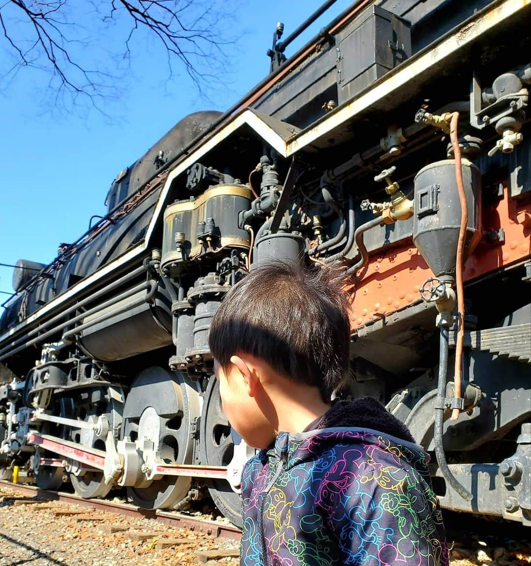 市川笑野さんのインスタグラム写真 - (市川笑野Instagram)「無限列車の世界…夢の中へ～… #蒸気機関車 #無限列車 #魘夢 #d51 #デコイチ #デゴイチ #鬼滅の刃」2月8日 16時54分 - emino.i