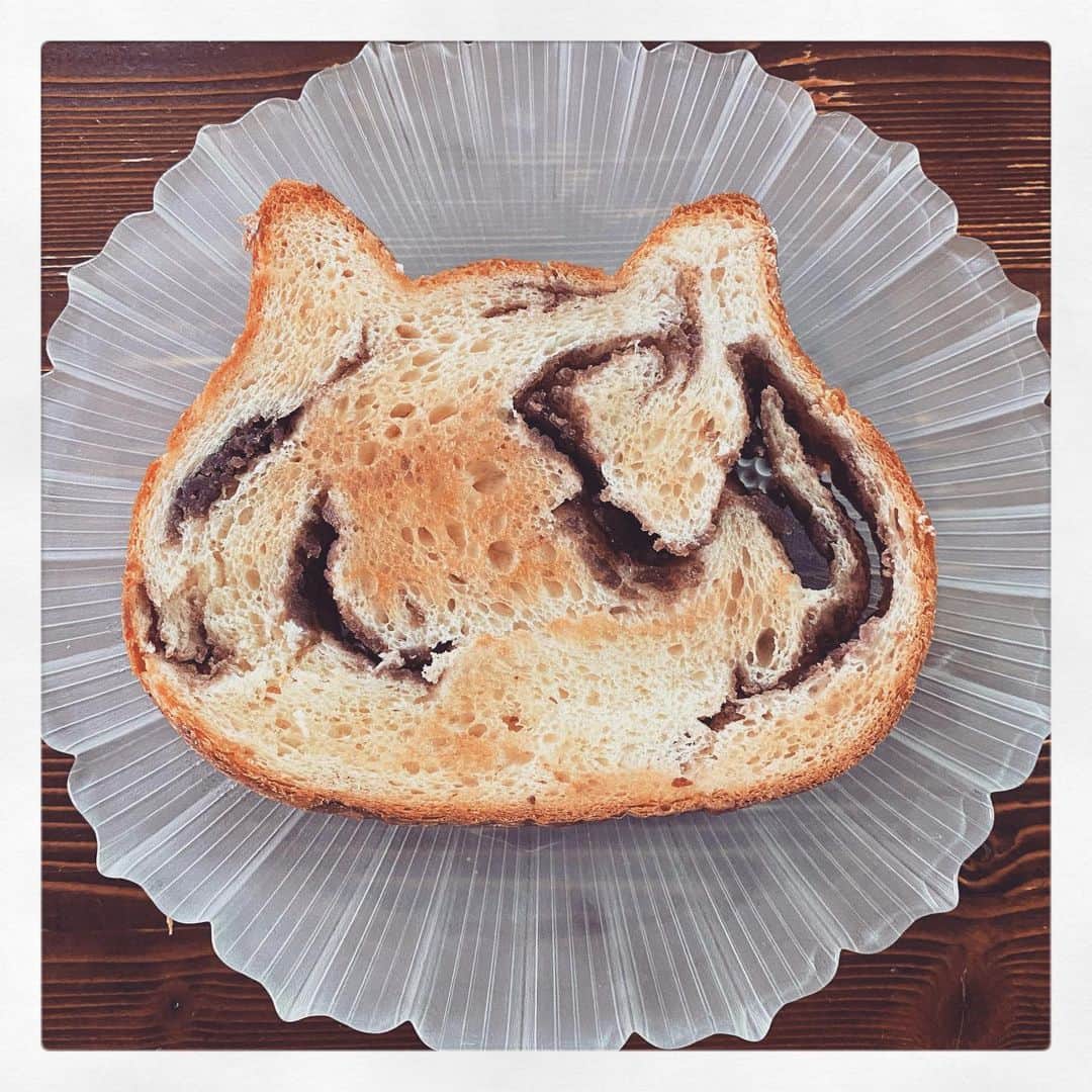 右手愛美さんのインスタグラム写真 - (右手愛美Instagram)「#ねこねこ食パン こしあんフレーバー🐈💕 ・ かわいい！かわいい！かわいい！」2月8日 17時03分 - utemanami