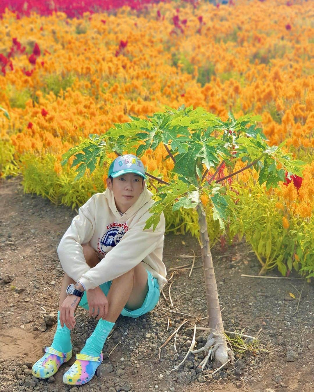 ダリ のインスタグラム：「꽃밭에서🌼🌺💐」