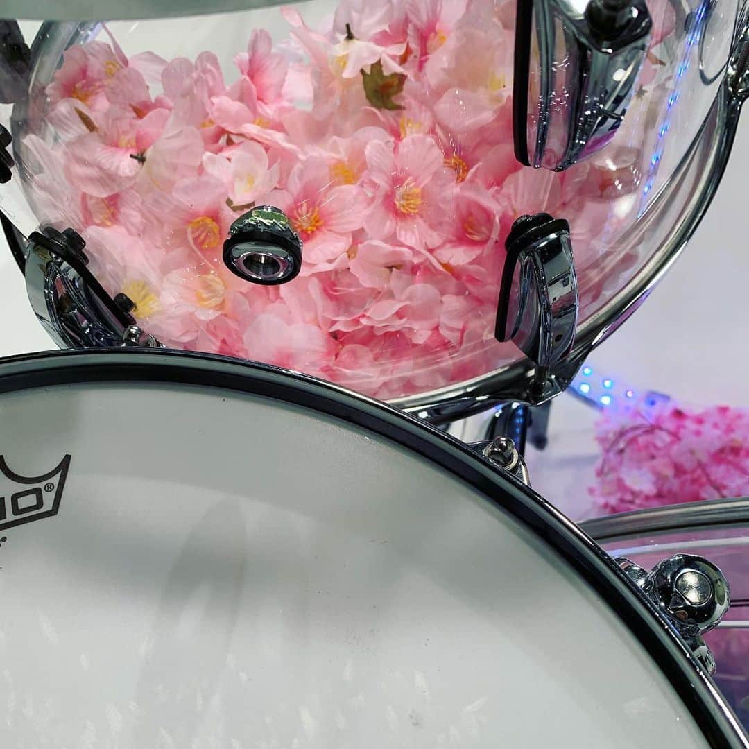 風弥さんのインスタグラム写真 - (風弥Instagram)「SAKURAサムネイルのMV撮影🌸 Pearl クリスタルビートに桜の花びらを入れてみた🌸 #drums  #pearldrums #drumset #drummer  #teamremo #zildjian  #zildjiancymbals」2月8日 17時15分 - kazami_daizy