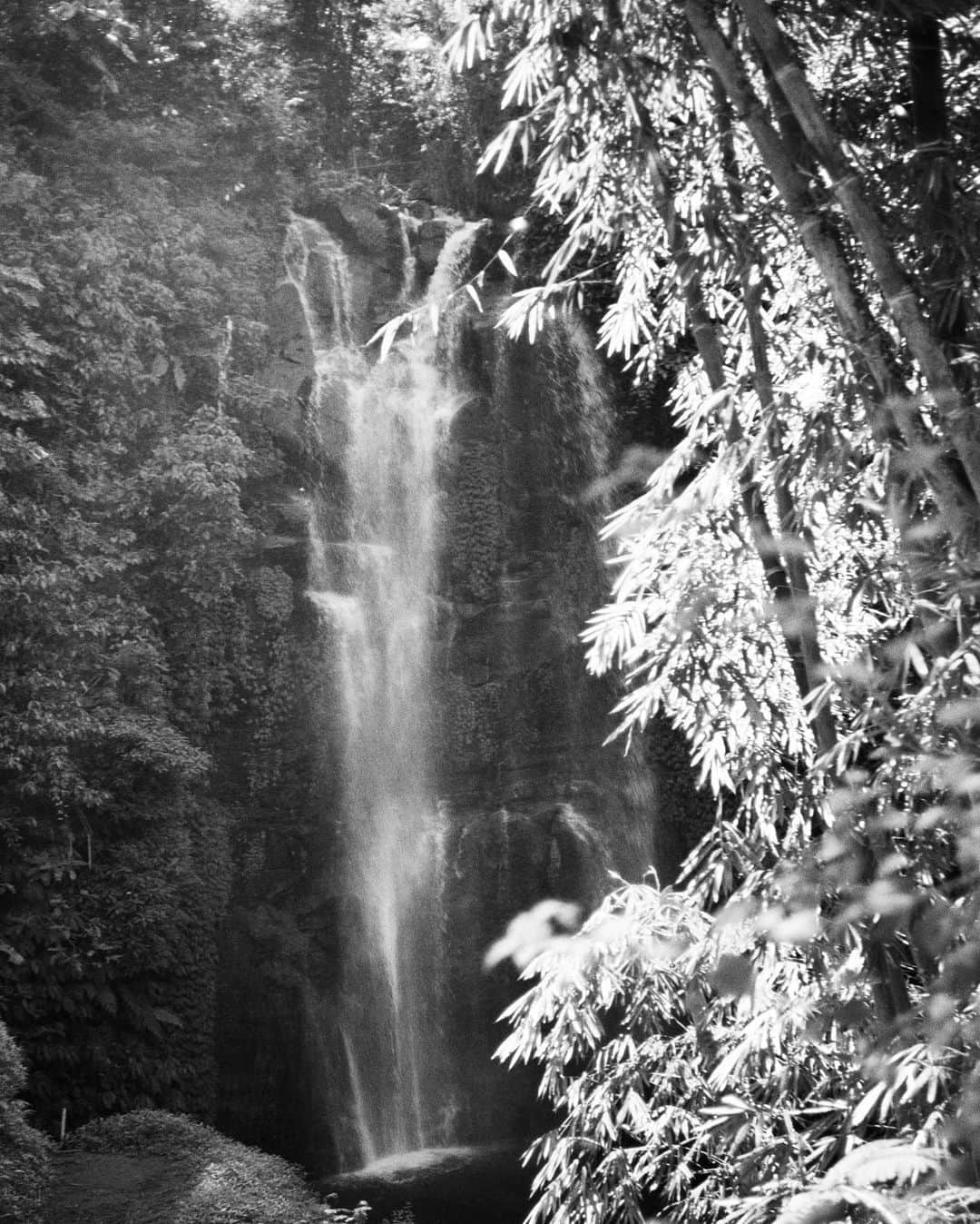 Dara Muscatさんのインスタグラム写真 - (Dara MuscatInstagram)「Few film shots from natural habitat ✨⛈✨ Forest and river showers in the mountains are the best 🖤」2月8日 17時13分 - daramuscat