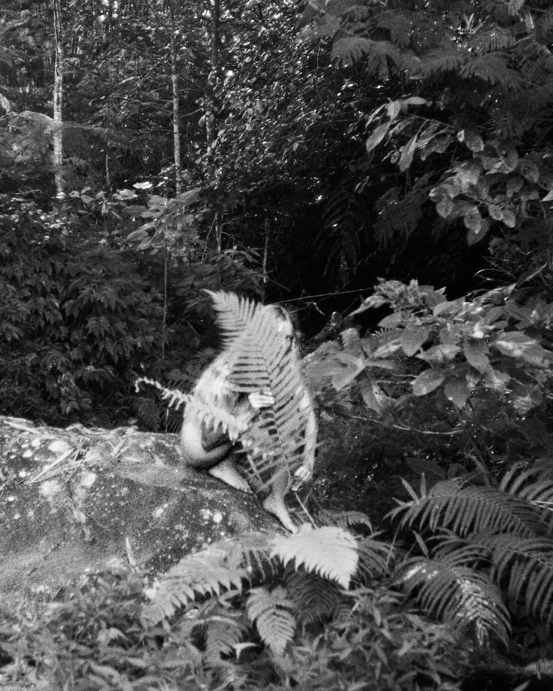 Dara Muscatさんのインスタグラム写真 - (Dara MuscatInstagram)「Few film shots from natural habitat ✨⛈✨ Forest and river showers in the mountains are the best 🖤」2月8日 17時13分 - daramuscat