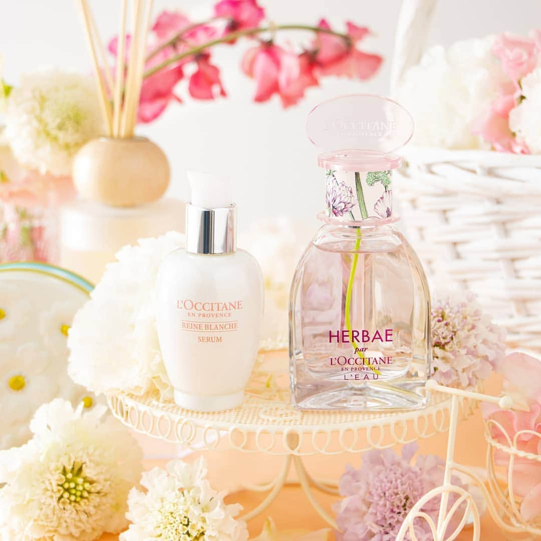 L'OCCITANE en Provenceのインスタグラム：「【肌と心の春準備🌸】透明感あふれる"春美人"を叶える、レーヌブランシュ×エルバブランシュのペアリング🌿﻿ ﻿ 明るく澄んだ素肌へと導く﻿ 人気美白 (*1)スキンケアシリーズの﻿ 「レーヌブランシュ」✨﻿ ﻿ "本当の私"に素直に生きる﻿ 女性のための香り﻿ 「エルバブランシュ」💐﻿ ﻿ 春に向けてロクシタンが提案するのは、﻿ 肌と心の"春美人"を叶える﻿ 2シリーズのペアリング💍﻿ ﻿ スキンケアと香りのパワーで﻿ 自信をつけて、透明感あふれる﻿ 明るい春を迎えましょう🌸﻿ ﻿ ﻿ ＼澄んだ素肌を叶えるスキンケア✨／﻿ レーヌブランシュ ブライトコンセントレートセラム（医薬部外品）﻿ ﻿ シミ、色ムラ、くすみの原因となる﻿ メラニンの生成を抑制する薬用美白(*1)美容液。﻿ ﻿ 肌の光の反射を阻む「光の落とし穴」を整えて﻿ 透明感のポテンシャルを内側から底上げ🌿﻿ ﻿ みずみずしい透明感とハリのある﻿ なめらかな肌へ導きます。﻿ ﻿ ﻿ ＼心を明るくするクリーンな香り💐／﻿ エルバブランシュ オードトワレ﻿ ﻿ 「本当の私」に素直に生きる﻿ 女性のためのフレグランス。﻿ ﻿ 4つの聖なるハーブが心をクリアに、﻿ 素直な気持ちへと導いてくれる﻿ シトラスグリーンフローラルの香り。﻿ （👉香調は3枚目をチェック！）﻿ ﻿ 自然のままにやわらかく、﻿ 美しい春をむかえられるはず。﻿ ﻿ ﻿ ペアリングを試してみたいと思ったら、﻿ 「🌸」の絵文字でコメントしてね✨﻿ ﻿ 【👆】製品タップで詳細をチェック！﻿ ﻿ ﻿ (*1)メラニンの生成を抑え、しみ・そばかすを防ぐこと。（医薬部外品による効果）﻿ ﻿ #ロクシタン #loccitane  #ゆらぎ肌 #肌の悩み #美白になりたい #素肌美人 #すっぴん美人になりたい #レーヌブランシュ #エルバブランシュ #美白ケア #香りのある暮らし  #くすみ対策 #シミ対策 #くすみ改善 #美容液 #セラム #春コスメ2021 #基礎化粧品 #コスメマニア #香水 #フレグランス #自分らしく生きよう #モテ香水 #香水ボトル #今日の香り #綺麗になりたい  #自分磨き #美容アカ #透明美肌 #バレンタインデーギフト」