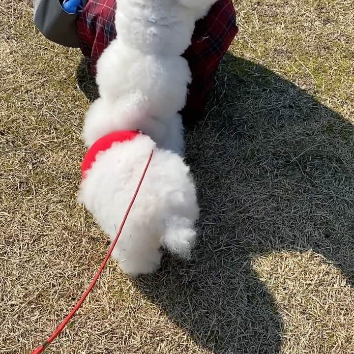 ゆうのインスタグラム