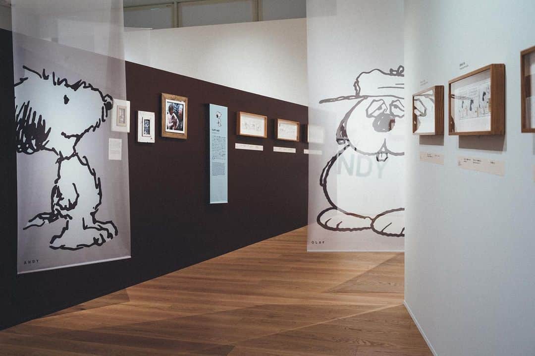 SNOOPY MUSEUM TOKYOのインスタグラム：「#snoopymuseumtokyo #schulzmuseum #snoopy #スヌーピーミュージアム #スヌーピー #スヌーピーときょうだい #snoopyandhissiblings」
