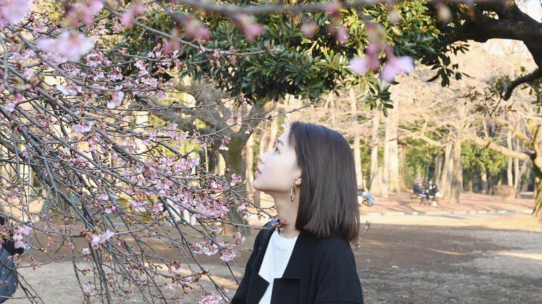 中桐菜々子のインスタグラム：「. 春の訪れ🌸  #ポートレート #ポートレート撮影 #ポートレートモデル #写真 #カメラ #ボブヘア #モノトーンコーデ #代々木公園 #代々木 #梅の花 #春の訪れ #春」