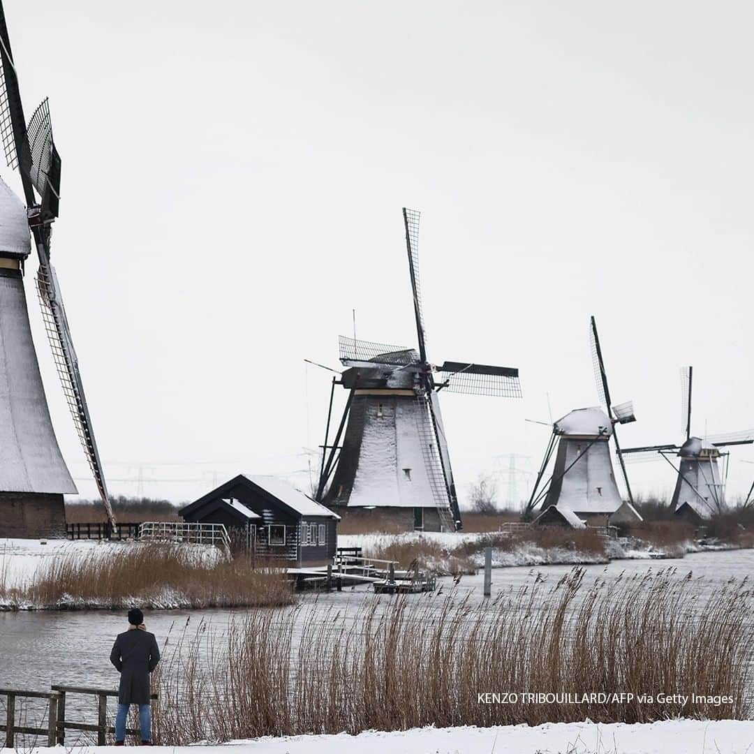 ABC Newsさんのインスタグラム写真 - (ABC NewsInstagram)「Snow blankets a field as a man stands in front of windmills in the village of Kinderdijk in The Netherlands. #windmill #snow」2月8日 19時00分 - abcnews