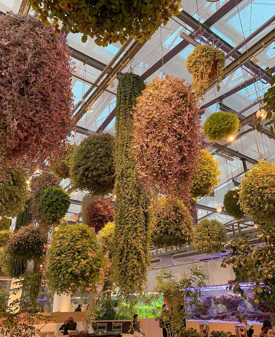 YUKIのグルメインスタ