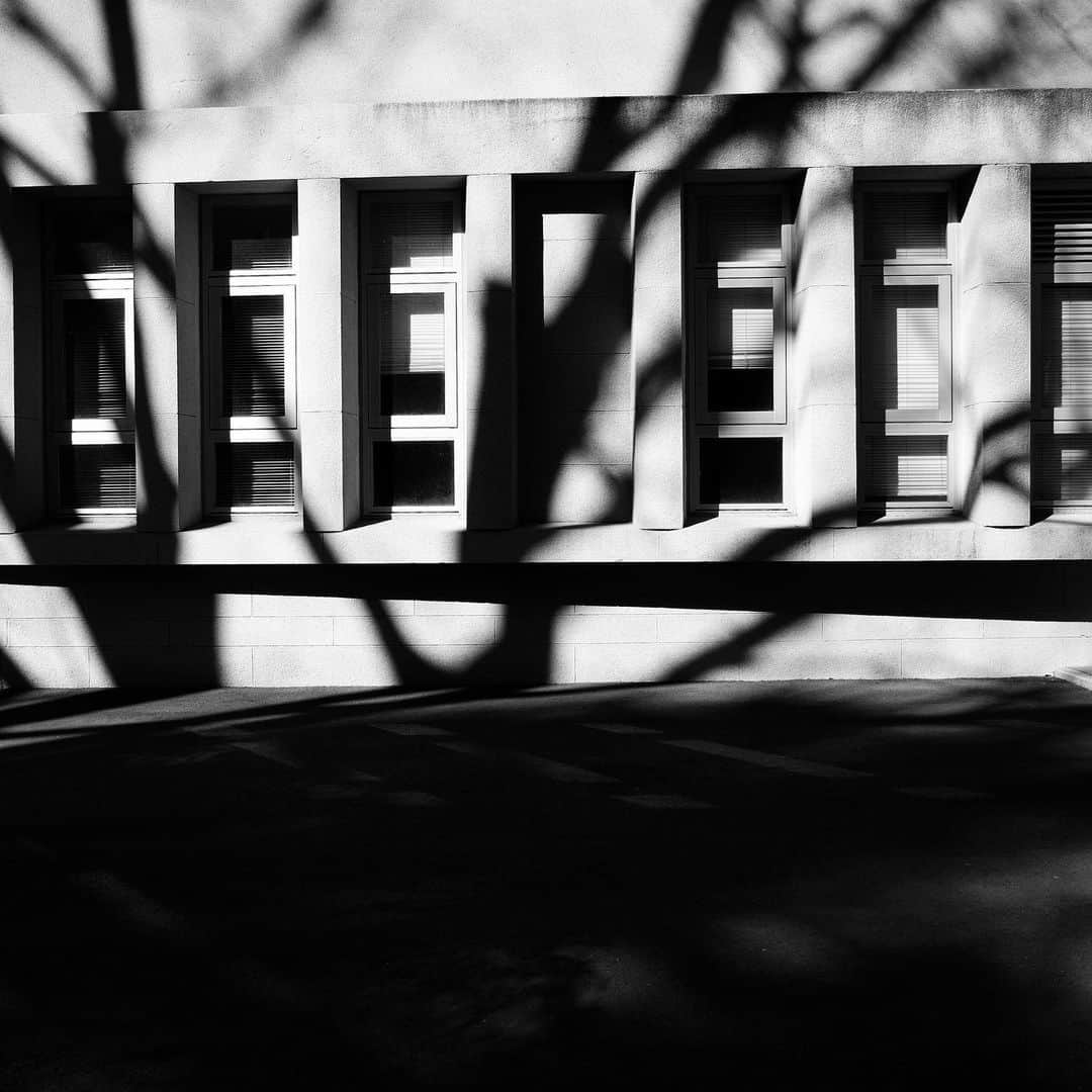 naotakeのインスタグラム：「木々 - Trees / iPhone 12 Pro Max & Snapseed, 20210209 . . 執務場所が先週末から少しだけ移動したが、とても寒い建物で芯まで冷える。 . . #spicollective #royalsnappingartists #infamous_family #rsa_main #infinity_photo_cult #jp_gallery_member #jp_gallery_bnw #trb_bnw #wp_bnw  #bnw_life #bnwlife_member #bnw_life_shots #bnw_captures #world_bnw #top_bnw #team_jp_ #team_jp_モノクロ #ig_energy_bw #ig_nihon #streetphotographybnw #igersjp #blackandwhite #bnw #bnwphoto #monochrome #bw #bnwphotography #ShotOniPhone #shotoniphone12promax」