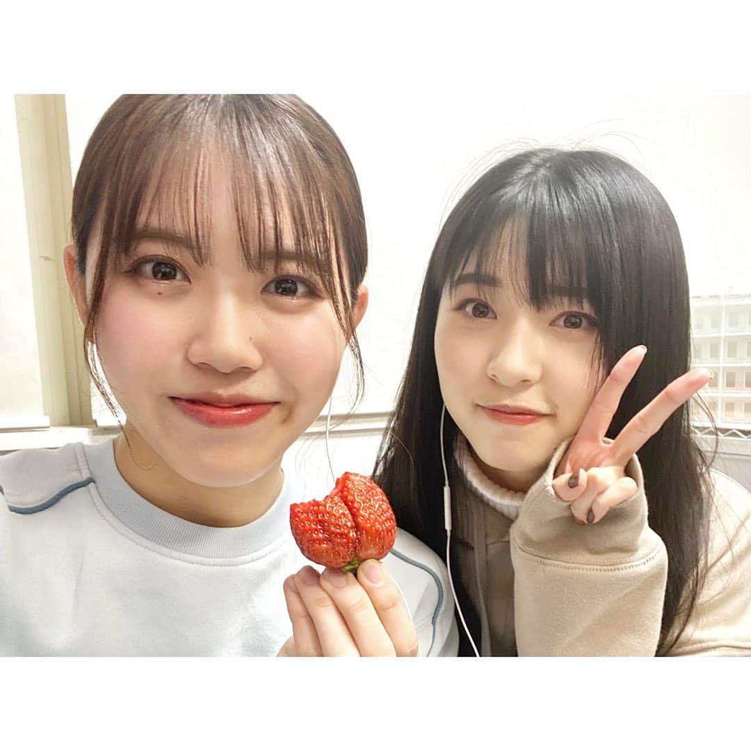 彩香のインスタグラム：「＊ #ヒロロ の#さとちょう で買ったいちごをJと食べました🍓 あまおうだよ〜(*´∇｀*) 一番最後の写真は、梅干しがのったご飯に見えたので撮っちゃいました笑笑 美味しかった〜✌🏻 ＊ ＊ ＊ #ヒロロ #さとちょう #いちご #あまおう」