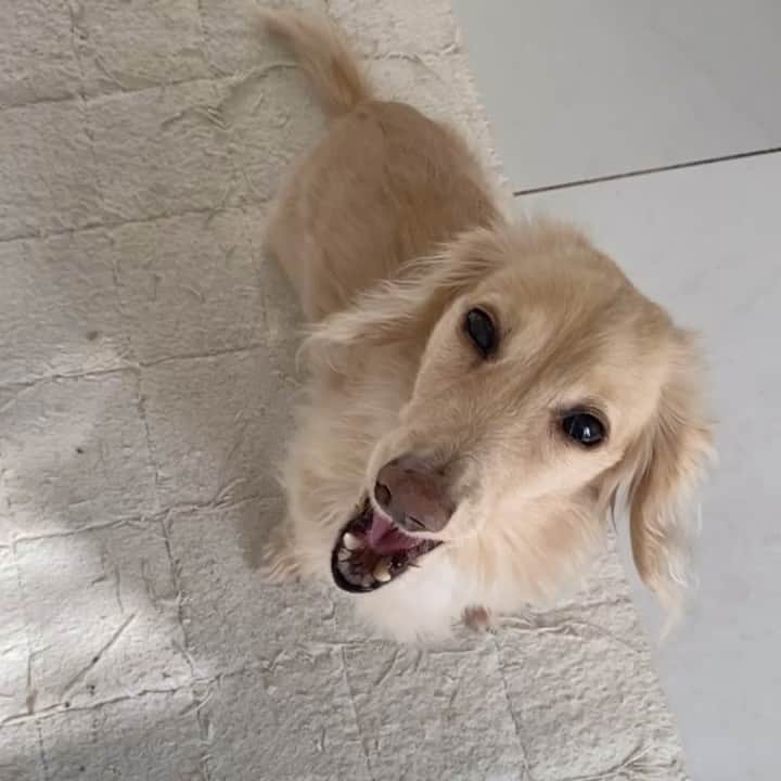 麻美のインスタグラム