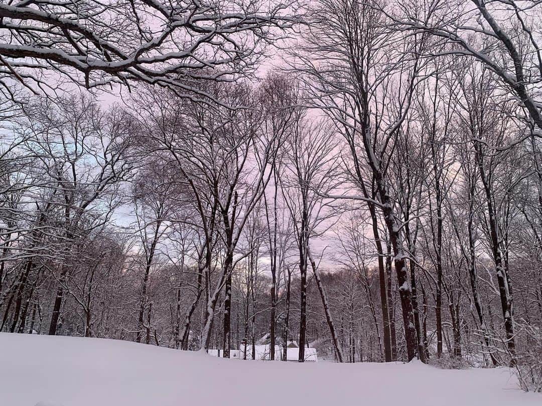 Monday満ちるさんのインスタグラム写真 - (Monday満ちるInstagram)「Winter wonderland sunset #unfiltered」2月8日 19時34分 - mondaymichiru