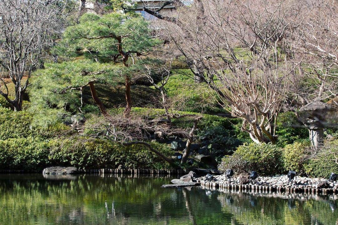 八芳園さんのインスタグラム写真 - (八芳園Instagram)「「緊急事態宣言」の再発出に伴う対応について .  平素は格別のご高配を賜り心より御礼申し上げます。   2月2日、菅内閣総理大臣より、1月8日発出の緊急事態宣言の延長が発表されました。これに基づき、令和3年3月7日（日）までを対象期間として、弊社は下記の通り引き続き営業内容の一部を変更いたします。 .  【ご婚礼・ご宴会に関して】 1. ご婚礼 都知事からの「施設の使用制限」の協力依頼に伴い、下記の内容を実施致します。 ・営業時間短縮の実施 ・挙式場及び披露宴会場の収容率50%以下の実施 また、お料理、引出物の配送を含めたオンライン列席を推奨しております。ご希望の方は担当までお問い合わせくださいませ。 . 2. ご宴会 都知事からの「施設の使用制限」の協力依頼に伴い、下記の内容を実施致します。 ・営業時間短縮の実施 ・宴会場の収容率50%以下の実施 また、お料理の配送を含めたイベント・ご宴会のオンライン列席を推奨しております。ご希望の方は担当までお問い合わせくださいませ。 . 【レストラン・shopに関して】 ※既にご予約を頂戴しているお客様に対して、下記の内容を実施させていただきます。 . 1. スラッシュカフェ 都知事からの「施設の使用制限」の要請に伴い、下記の内容を実施致します。 ・土日祝のみ営業 ※平日は営業休止となります。 ・営業時間 10時00分〜17時00分まで（ラストオーダー16時） . 2. ENJYU 都知事からの「施設の使用制限」の要請に伴い、下記の内容を実施致します。 ・土日祝のみ営業 ※平日は営業休止となります。 ・営業時間 11時30分〜17時00分まで（ラストオーダー16時） . 3. 料亭壷中庵 都知事からの「施設の使用制限」の要請に伴い、下記の内容を実施致します。 ・営業時間 11時00分〜18時00分まで（ラストオーダー17時） . 4.VEGETABLE LIFE 新型コロナウィルス感染症の拡大防止に万全を期するため、下記の内容を実施致します。 ・1月18日（月）より3月7日（日）まで営業休止 . 5.kiki shop 新型コロナウィルス感染症の拡大防止に万全を期するため、下記の内容を実施致します。 ・土日祝のみ営業 ※平日は営業休止となります。 ・営業時間 10時00分〜17時00分 . ※「緊急事態宣言延長」の期間が変更になった際の対応は、再度公式ホームページよりお知らせさせていただきます。 . 弊社といたしましては、衛生管理を徹底した上で皆さまに最高のひとときを提供できるよう、スタッフ一同全力を尽くしてまいる所存です。 なお、本件についてのお問い合わせは以下の窓口までお願い申し上げます。 .  ■お問い合わせ・詳細はこちらより https://happo-en.com/news_post/news210207.html . . . #八芳園 #営業時間短縮 #営業時間 #enjyu #スラッシュカフェ #壺中庵 #vegetablelife #日本庭園 #結婚式場 #白金台 #港区 #白金台カフェ #白金台レストラン #港区カフェ #港区レストラン #港区女子 . #japanesegarden #forbestravelguide #japan_of_insta #bestphoto_japan #instravel #team_jp_ #japantravel #jp_mood #jp_views #ig_japan #flowerstagram #japan_of_insta」2月8日 19時28分 - happoen