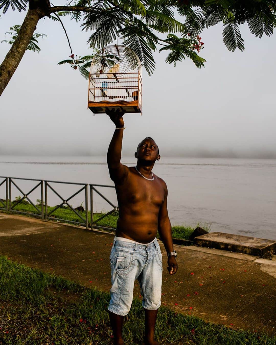 National Geographic Travelさんのインスタグラム写真 - (National Geographic TravelInstagram)「Photos by @robert_ormerod / A short series of portraits of men with their pet songbirds in French Guiana from 2017. While visiting the beautiful and fascinating country of French Guiana, I began to notice a lot of people, mostly men, walking around with small cages under their arms. I finally managed to stop one of them to take a closer look and discovered the cages held tiny songbirds. Songbird competitions are held in various parts of South America and elsewhere in the world. Birds are cared for and trained for many years to compete against other birds.  They are judged by the duration of song and quality of performance in weekly or monthly competitions.」2月9日 5時46分 - natgeotravel
