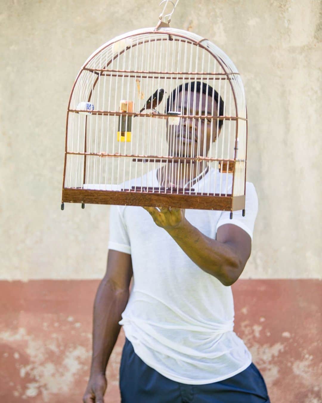 National Geographic Travelさんのインスタグラム写真 - (National Geographic TravelInstagram)「Photos by @robert_ormerod / A short series of portraits of men with their pet songbirds in French Guiana from 2017. While visiting the beautiful and fascinating country of French Guiana, I began to notice a lot of people, mostly men, walking around with small cages under their arms. I finally managed to stop one of them to take a closer look and discovered the cages held tiny songbirds. Songbird competitions are held in various parts of South America and elsewhere in the world. Birds are cared for and trained for many years to compete against other birds.  They are judged by the duration of song and quality of performance in weekly or monthly competitions.」2月9日 5時46分 - natgeotravel