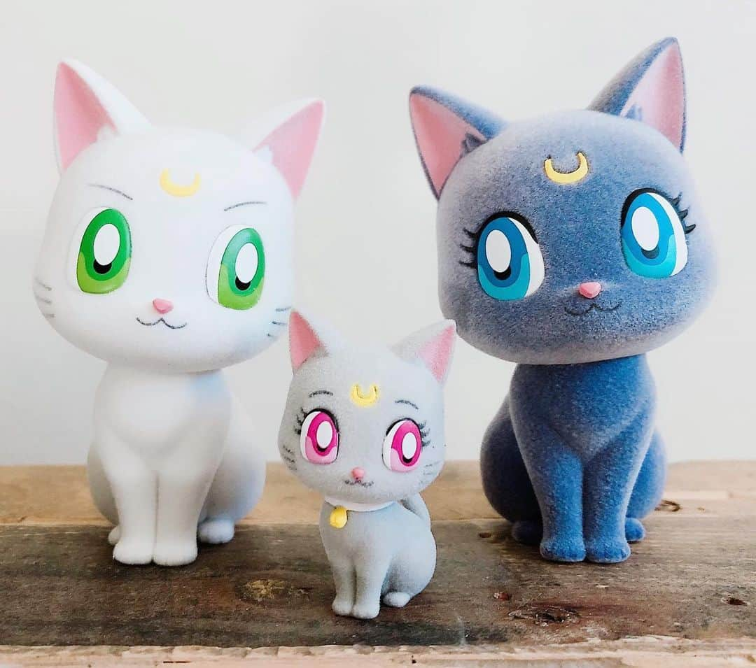 Sailor Moonさんのインスタグラム写真 - (Sailor MoonInstagram)「✨🌙 Got the Luna, Artemis & Diana Fluffy Puffy figures from @boxlunchgifts! They’re sooo cute and fuzzy! They’re so much smaller than I imagined and I love a small figure so 👍🏻 🌙✨  #luna #artemis #diana #sailormoon #セーラームーン　#figure」2月9日 6時18分 - sailormoon_sc