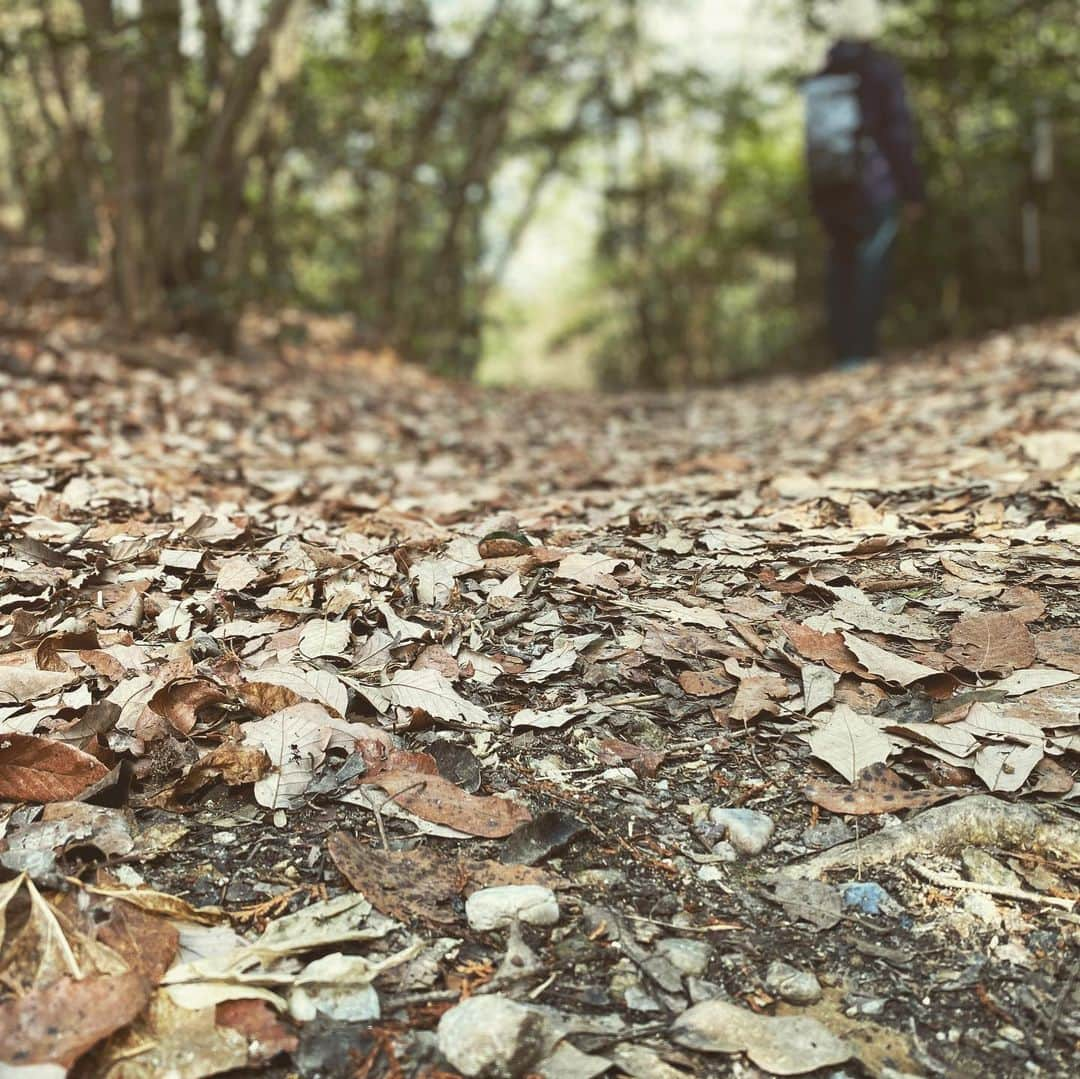 イレーネさんのインスタグラム写真 - (イレーネInstagram)「First walk of the year🍂 凝り固まった頭の中と、同じく凝り固まった肩をほぐしに瀬戸市の海上の森へ . 名古屋からたったの30分くらいでタイムスリップ感味わう事が出来るのですよね🤓ちょっとしたハイキングに最高の場所です。平日登山部2021やっと始められたー . せっかくちょっと身体軽くなった感じしたのに、ランチと帰ってからのケーキでプラマイマイナス... . @rocca39_myao ちゃん今年も歩こうねー🥸  #愛知県  #愛知 #瀬戸  #海上の森  #里山  #ハイキング  #散歩 #古民家 #イレトリップ  #escape  #japan #aichi #seto #hiking #kaishonomori  #hike #winterhiking  #winter #outdoor #japanesehouse」2月8日 21時34分 - irenedewald