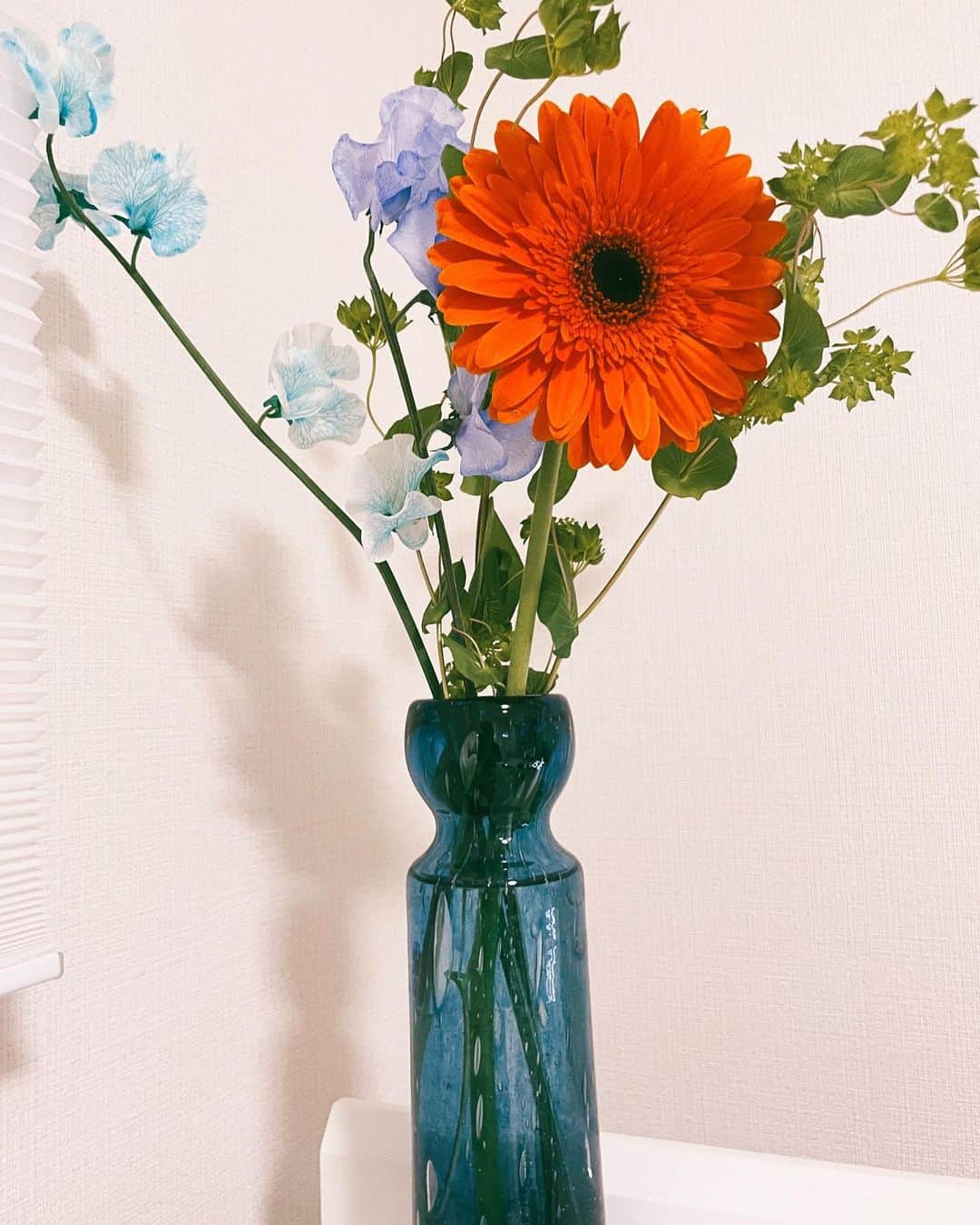 真山りかさんのインスタグラム写真 - (真山りかInstagram)「.﻿ ﻿ 昨日お花屋さんに行ったら﻿ 綺麗な青い花瓶とお花が大きくディスプレイされていて、思わずお迎えしちゃいました。﻿ ﻿ 左のスイートピーの品種は﻿ そらいろって言うんですって﻿ ﻿ 今日は朝、曇りだったけど﻿ お菓子を買いに行くときと会いに行く時に﻿ 気持ちいいくらいに晴れていて﻿ なんだかとっても嬉しくなったな。﻿ ﻿ 大好きなあなたも﻿ 楽しく過ごせてますように！﻿ ﻿ あと、自分用のお菓子買いすぎちゃったから﻿ 早めに会いにきてね笑﻿ ﻿ #0208﻿ ﻿ #まやまにあ﻿ ﻿ .」2月8日 22時03分 - ma_yama_official