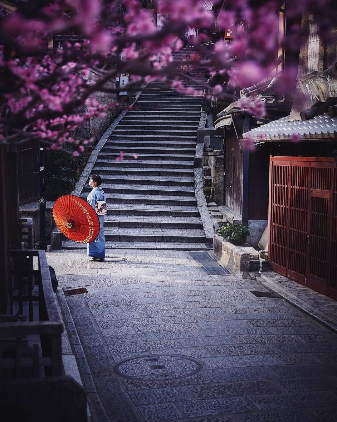 Najiiのインスタグラム：「Bloom - - お久しぶりです。 - - #instagramjapan #tokyo_grapher  #tokyocameraclub #東京カメラ部 #mycanon #canonasia #photo_shorttrip #lovers_nippon #pics_jp #visitjapanjp #unknownjapan #thediscoverer #ume #梅 #eos #my_eos_photo  #kyoto #京都」