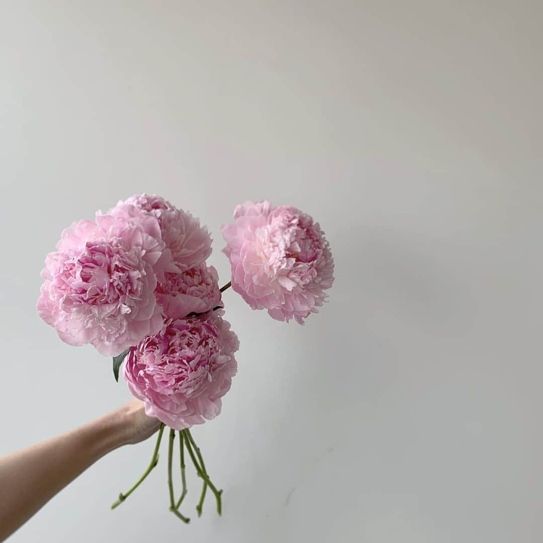 플로리스트 이주연 florist Lee Ju Yeonのインスタグラム