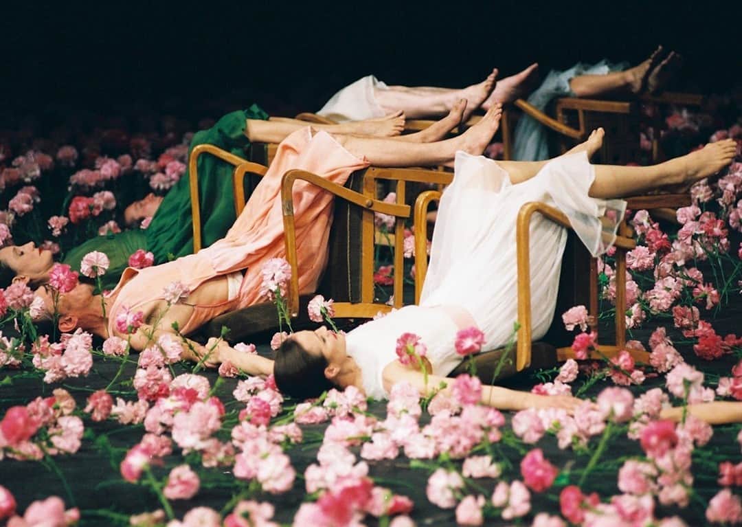 エルエヌシーシーのインスタグラム：「LN-CC Inspiration: Tanztheater Wuppertal Pina Bausch in Nelken. #Archive」
