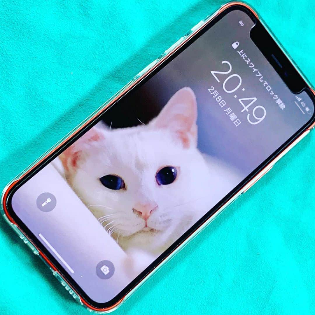 プンクマのインスタグラム