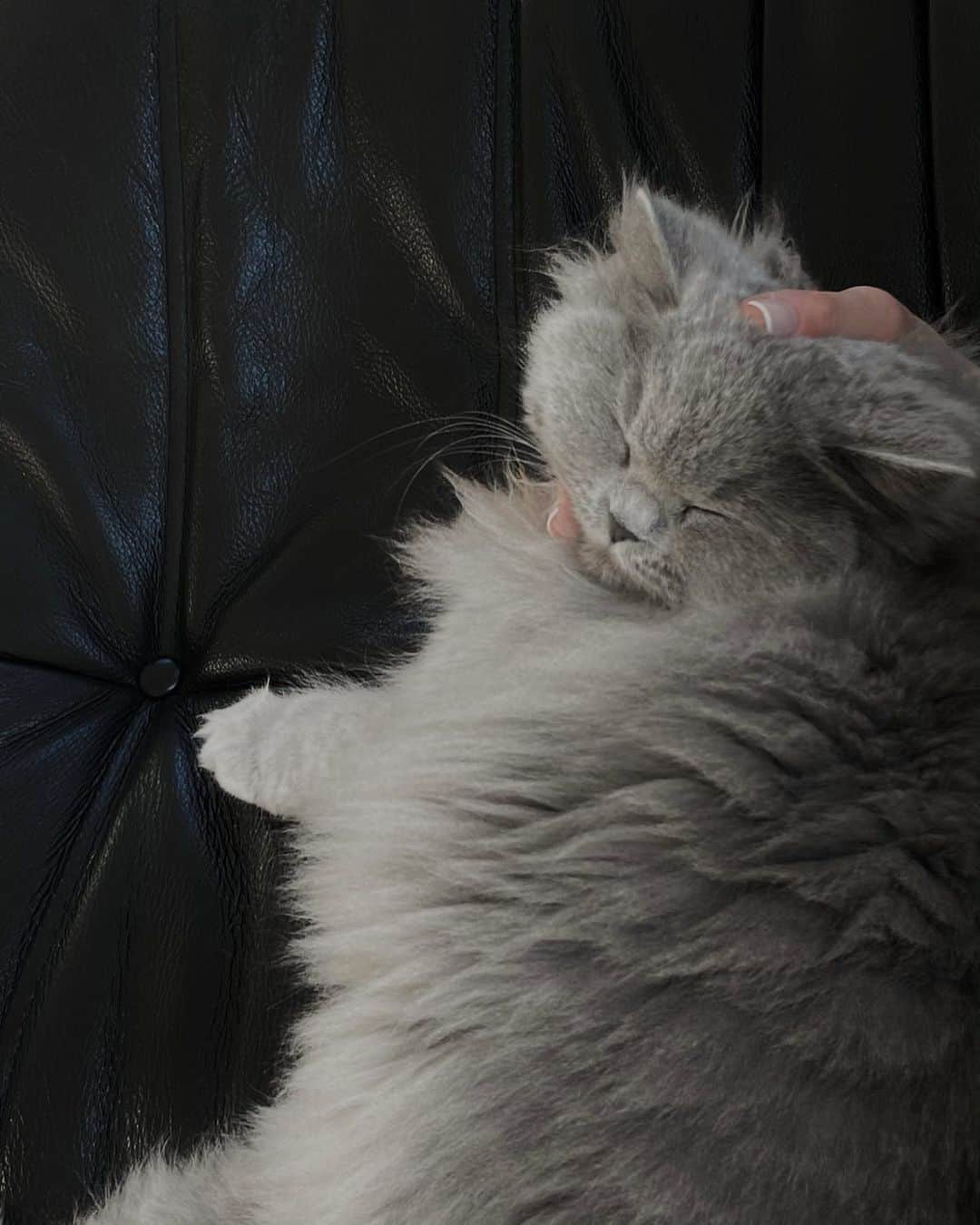Mathilde Goehlerのインスタグラム：「Someone is enjoying time in her new home 🤍」