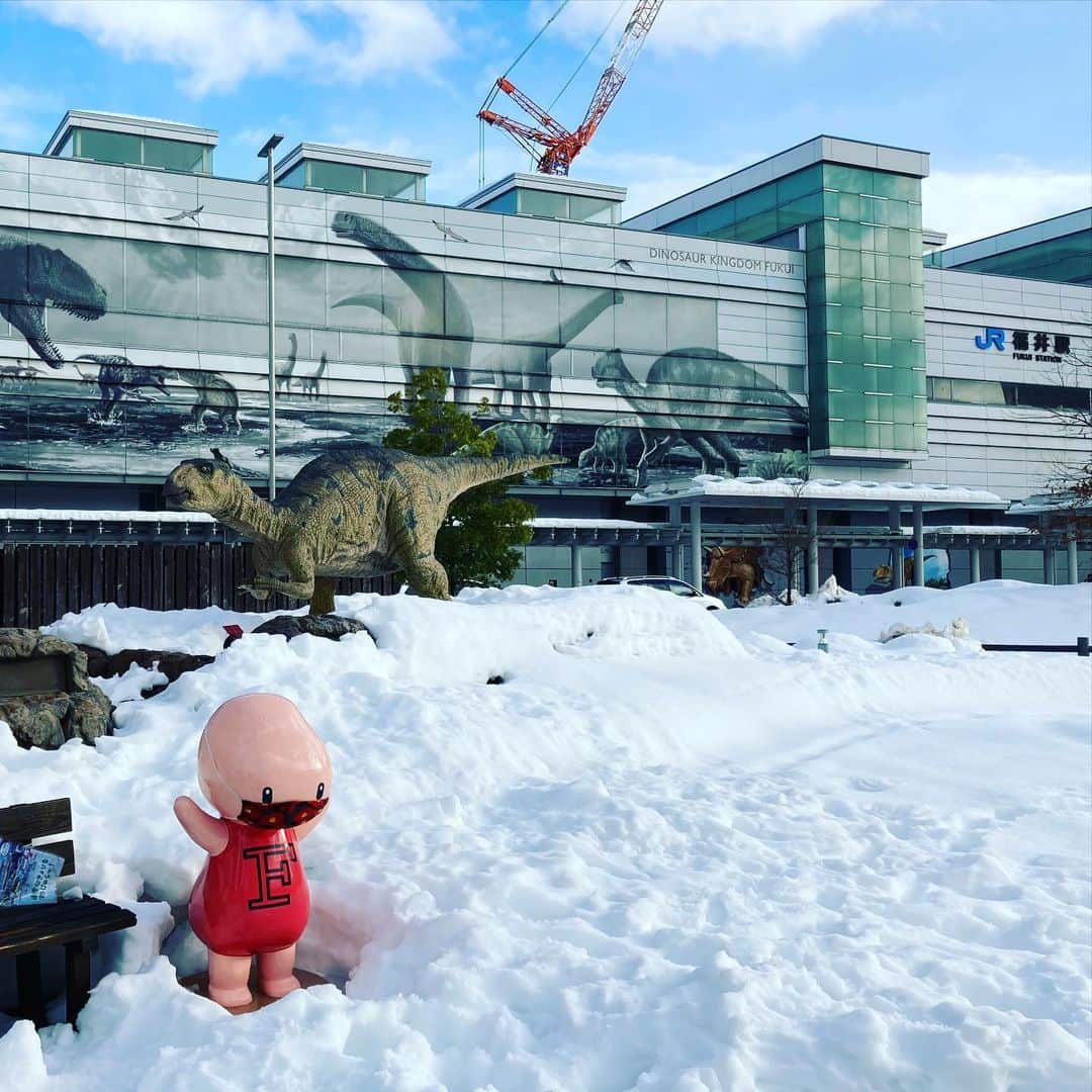滝波宏文さんのインスタグラム写真 - (滝波宏文Instagram)「#福井駅 #雪 #恐竜 ＃マスク #マイアルバムから」2月8日 22時31分 - hirofumitakinami