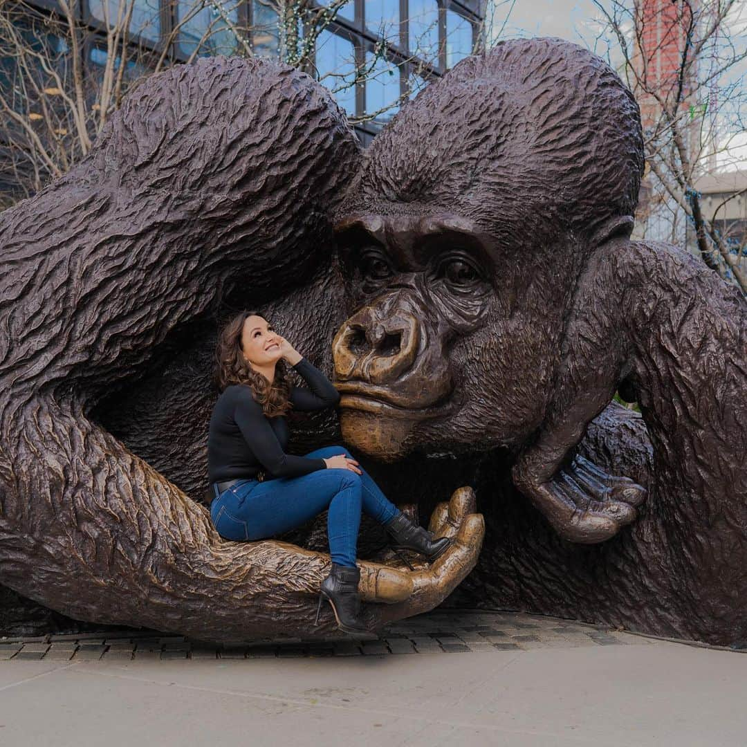 リサ・アンさんのインスタグラム写真 - (リサ・アンInstagram)「Here’s to a Magical Monday!  #kingnyani #hudsonyards #nyc 📸 @alfitzpics」2月8日 22時42分 - thereallisaann