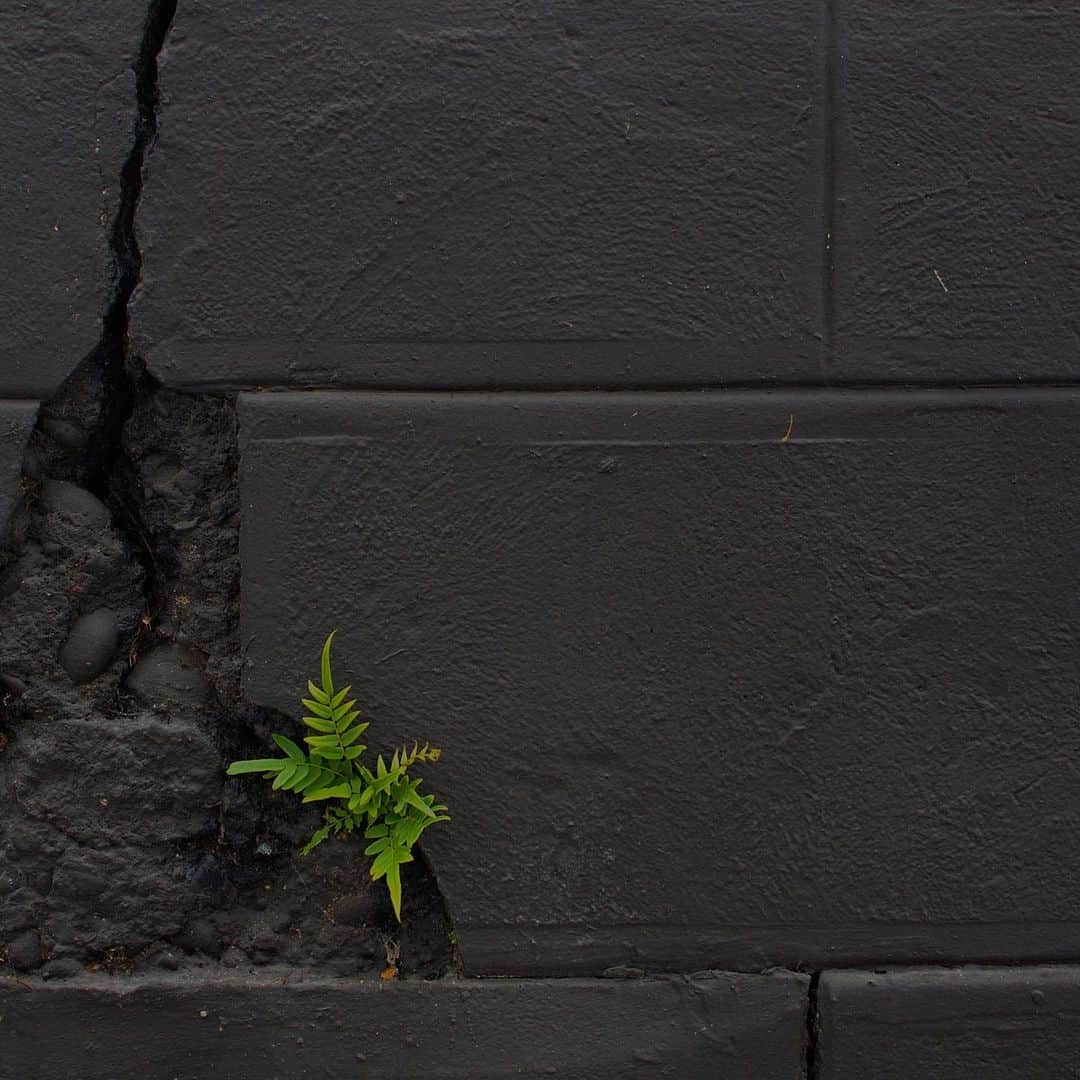 We Wore Whatのインスタグラム：「While meditating and practicing my breath work this morning, an image of cracked cement with a plant growing through came into my mind. Influencers are humans, I am human, and humans are not meant to withstand the type of hatred, harassment, and bullying that I and many others experience daily. You see Instagram stories smiling and excited. You see an unaffected person, but in reality I am the most affected that I have ever been. You see “this is my look today” but don’t see the panic attacks, tears, and state of massive anxiety that takes over my body. This unfounded negativity that has been built off of lies, false accusations, hate groups, and unethical journalism, destroys me. I want to scream at the top of my lungs to defend myself and share the truth. I wake up in disbelief that it has become my narrative, somehow overpowering the ten plus years I spent building my business, and trust with my community. Words cut deep and I’ve worked incredibly hard to battle through them. I’ve reached down into my deepest insecurities and have confronted them head on, in front of all of you. I’ve opened up to my followers about my flaws and continue to work on them daily, all while tirelessly working to help others. The last thing I want is sympathy. Thank YOU for allowing me this release that I feel right now. To share in a way I haven’t before and the room to grow from it. Every obstacle is truly an opportunity to peel back another layer of strength and tap into something we wouldn’t know existed if we weren’t faced with it. I am proving to myself that I am strongest when I feel at my weakest and hope my feelings share support for anyone who needs it today. To the negativity, thank you for challenging me to be my strongest and best self. It’s those people that I want to send love and light to today and every day, so we can end this cycle of hate. Together.」