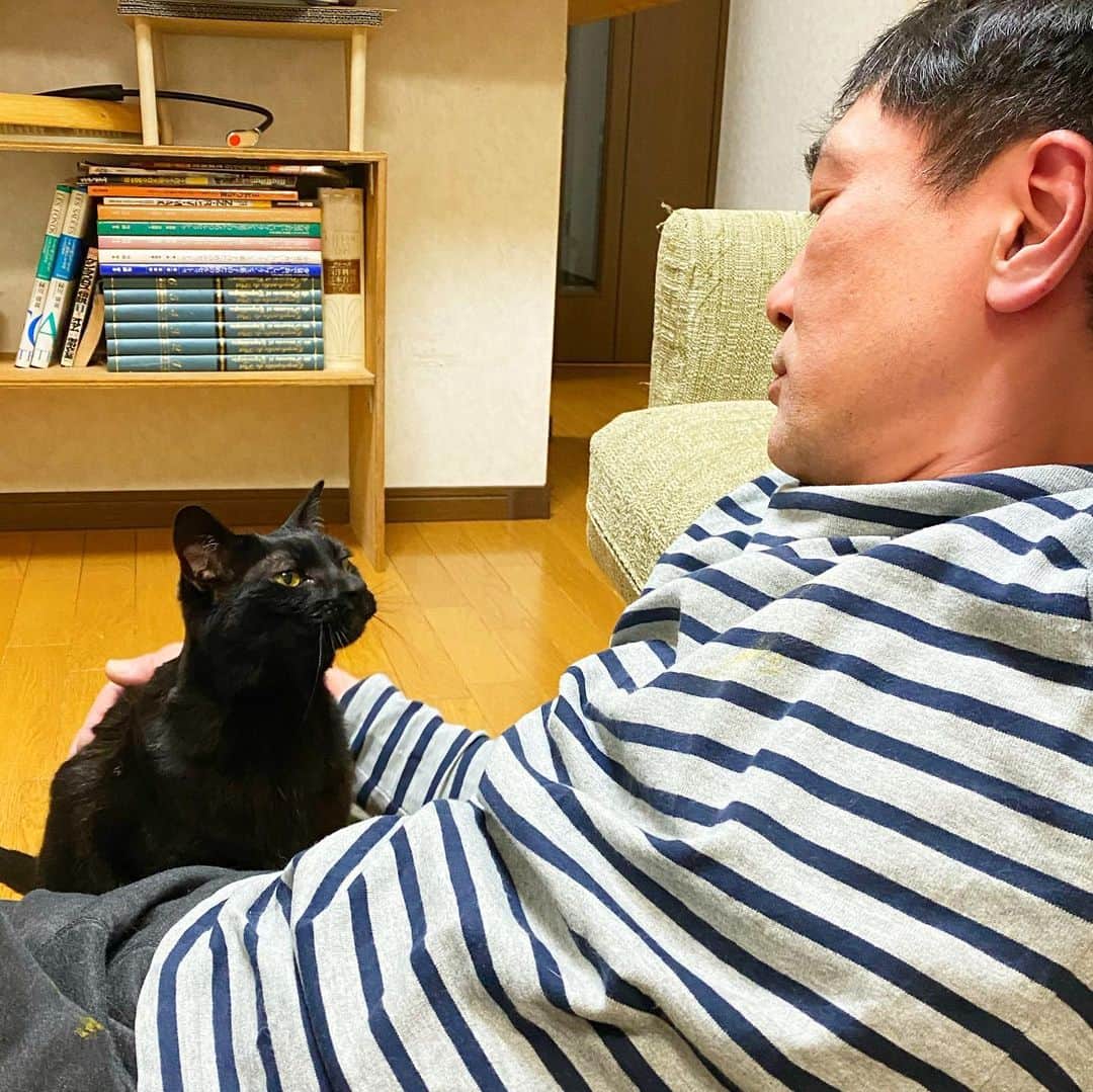 nemuru_catのインスタグラム：「#ベム#眠る夫  おかえりなさい ナデナデしてください😽 * #ねこ部#cat#cats#neko#猫#catsofinstagram#bestmeow#catlover#ふわもこ部#黒猫」