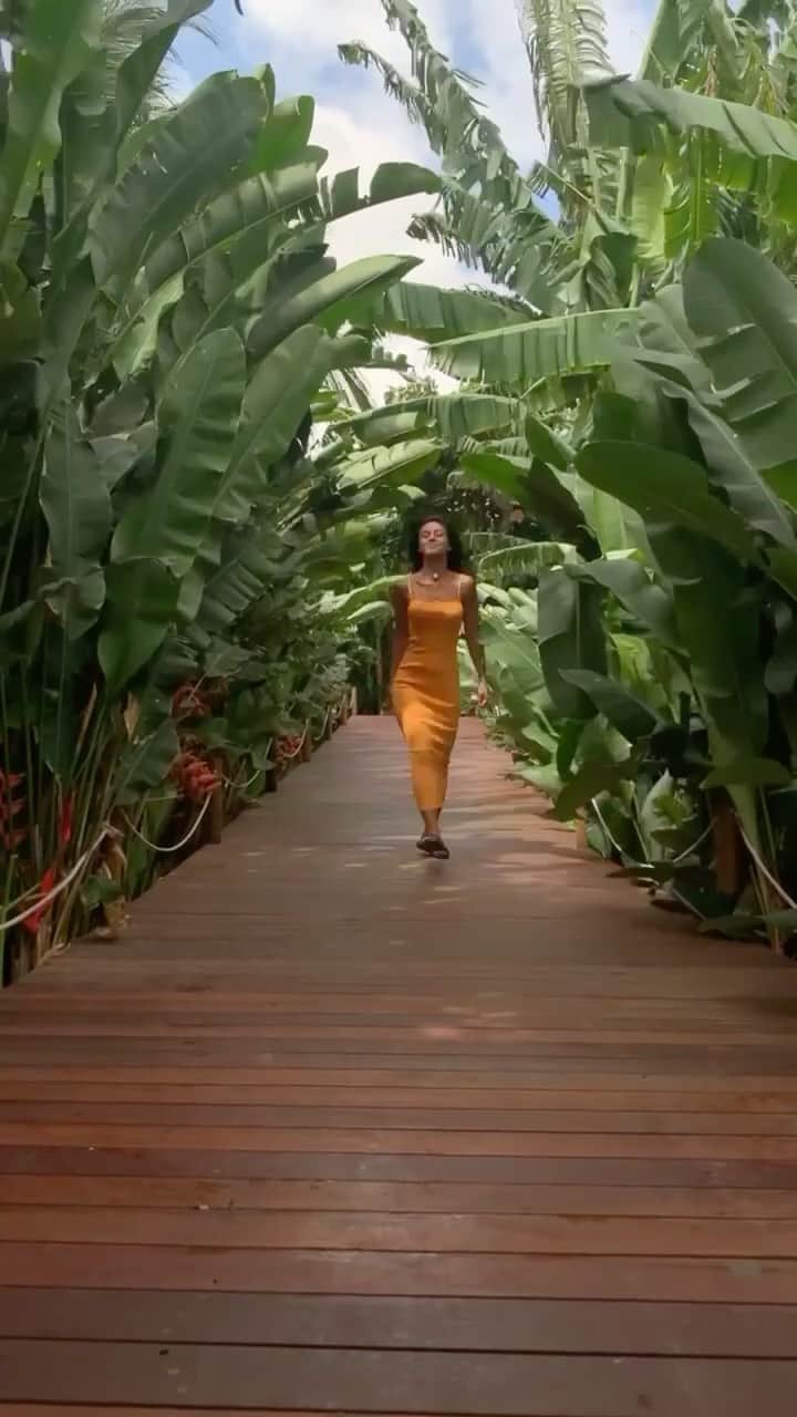 Yanna Lavigne 稲垣アンのインスタグラム：「É assim que me sinto aqui, leve, saltitante, sempre muito bem acolhida pela natureza inigualável e as pessoas que a vida coloca no meu caminho @fabidesanctis como família! Tenho tanto a agradecer @dolphinnoronha to de mochila no último take pra dizer que tô indo, mas não me demoro, até breve ❤️❤️」