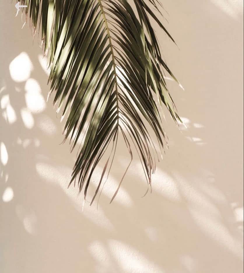 オンダデマーのインスタグラム：「Dreaming about that summer feeling...   #SummerVibes #SummerTime」