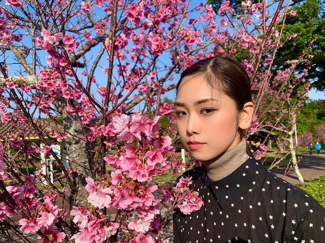 松田リマさんのインスタグラム写真 - (松田リマInstagram)「. 💘💘💘🌸🌸🌸」2月8日 23時22分 - rima_matsuda