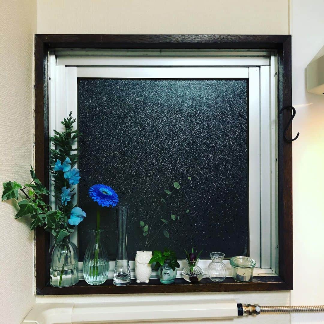 白珠イチゴさんのインスタグラム写真 - (白珠イチゴInstagram)「アスター。 ドイツの花占いで使うやつらしいよ。 かわいい。 そういえば、どちらにしようかなっていうのも卜術に当たるのかな。  #ハナノヒ  #日比谷花壇  #ハナノヒチャレンジ  #観葉植物 #観葉植物インテリア  #観葉植物のある暮らし  #花 #花のある暮らし  #アスター #flower  #flowers  #flowerstagram  #ミモザ #アカシア #ヘデラ  #アイビー #西向きの窓  #キッチン  #キッチンインテリア  #36歳  #36歳独身  #一人暮らし #一人暮らし部屋  #一人暮らし女子  #一人暮らしインテリア  #丁寧な暮らし  #占い師  #占い師の日常」2月8日 23時15分 - shiratamaichigo