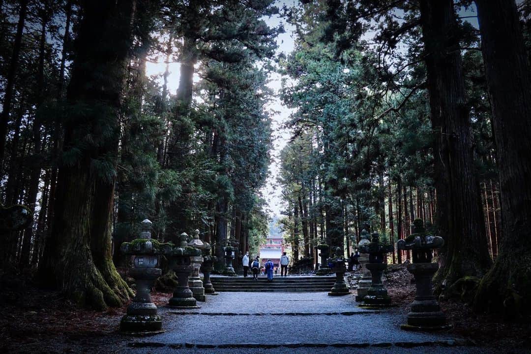 石松大晟のインスタグラム：「・﻿ ⛩🏔📸﻿ 次は4月かな。楽しみ。﻿ ﻿ #camera #canon #canonphotography #山梨観光 #バースデイトリップ」