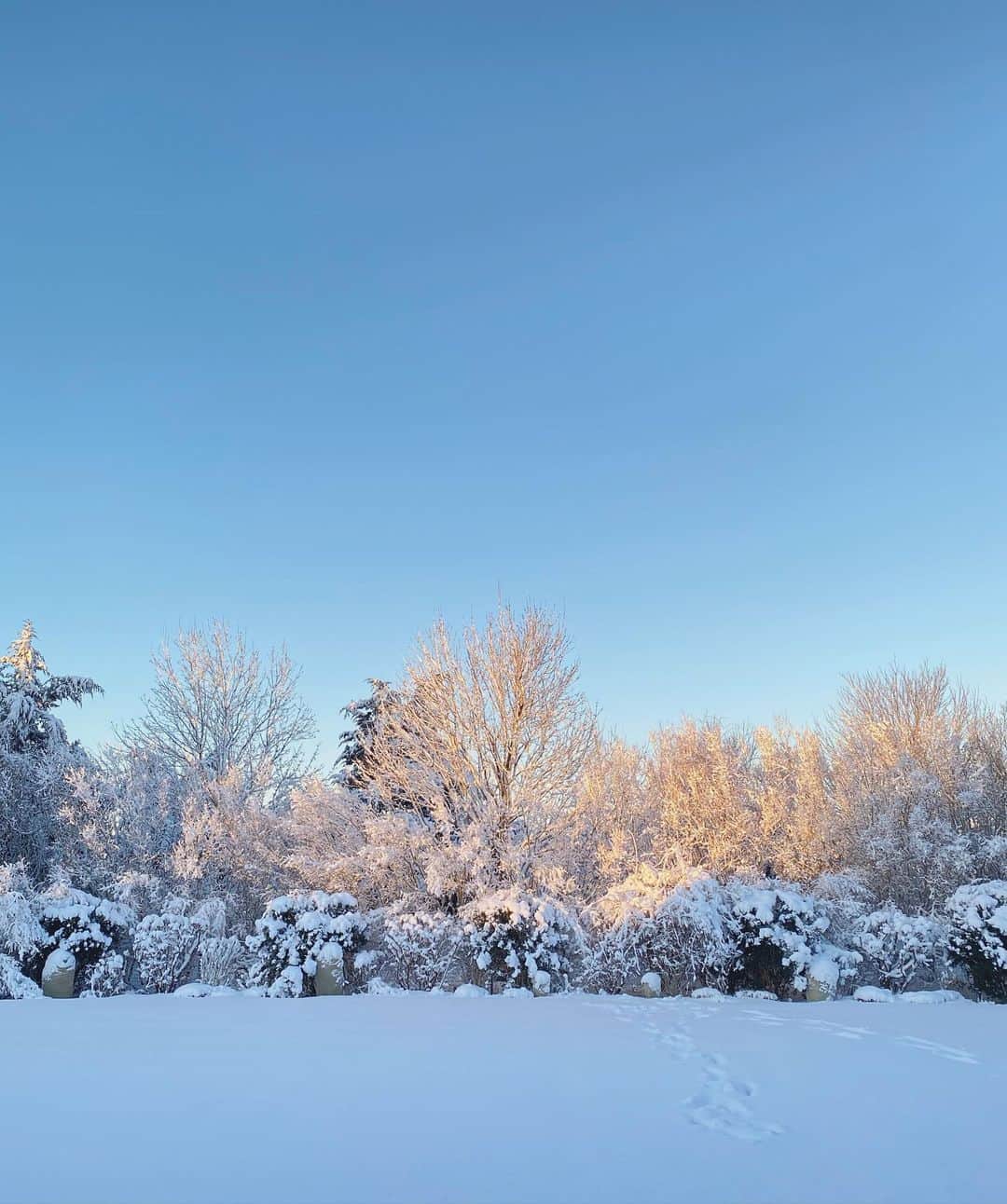 リンジー・エリンソンさんのインスタグラム写真 - (リンジー・エリンソンInstagram)「Was a cozy snowy weekend ❄️✨」2月9日 0時19分 - lindsellingson