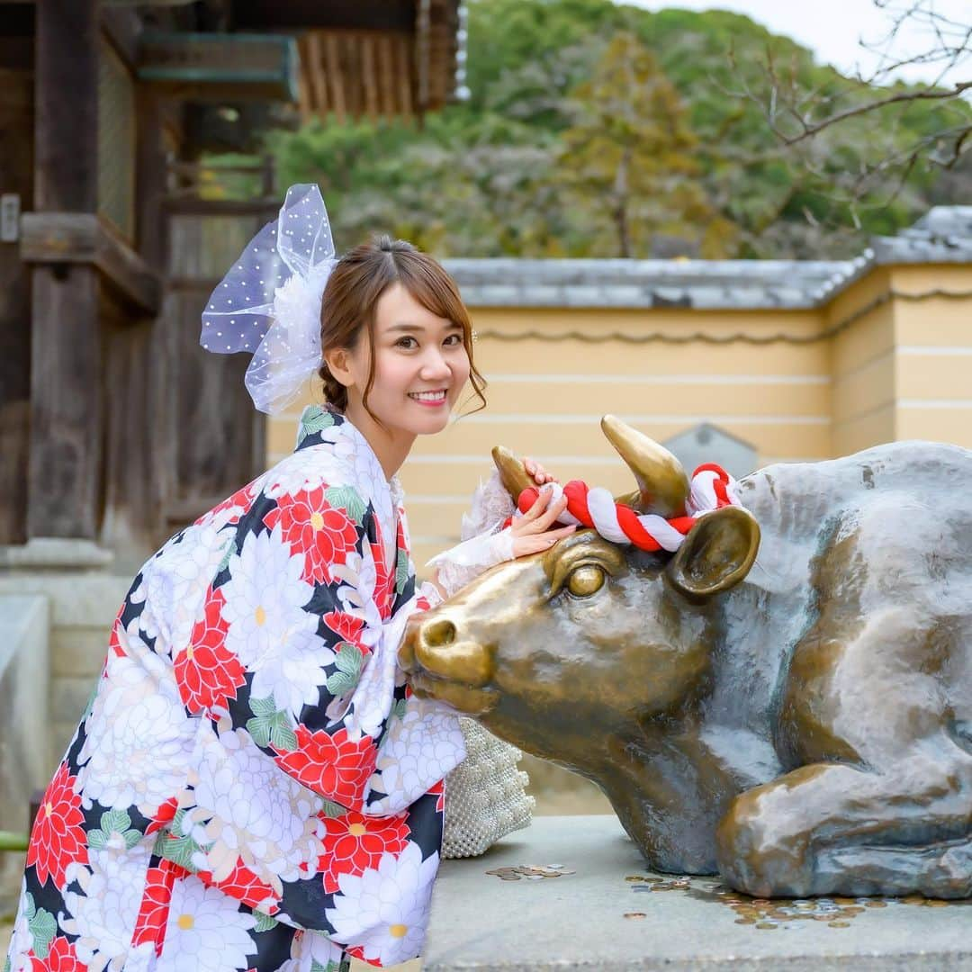 安藤まいのインスタグラム：「縁起のいい牛さん🐮 頭たくさん撫でて賢くなるようにお願いした！新しい分野の研修で沢山勉強してて楽しいけど情報量が尋常じゃないので全部早く極めたい！！！笑   #着物#着物体験#レトロモダン着物#着物散策#太宰府グルメ#太宰府天満宮 #モデル #撮影会モデル#太宰府散策#スイーツ食べ歩き #撮影会 #撮影 #ポートレート #ポトレ #福岡 #福岡モデル #レースクイーン #キャンギャル #安藤まい#RQ #japan #japanesegirl #yukata #yukatagirl」